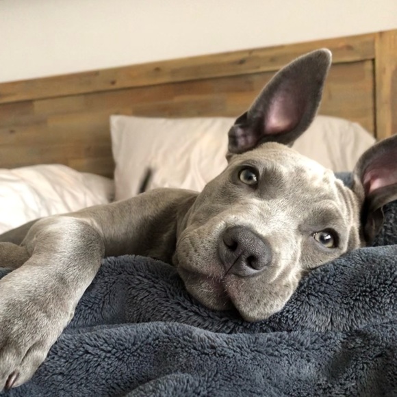 Meet your Posher, Michelle - Picture 1 of 1